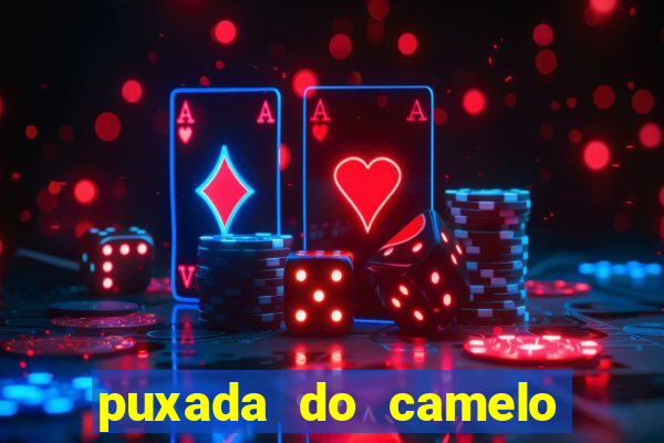 puxada do camelo jogo do bicho